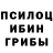 Псилоцибиновые грибы Psilocybe Yaboy Cj