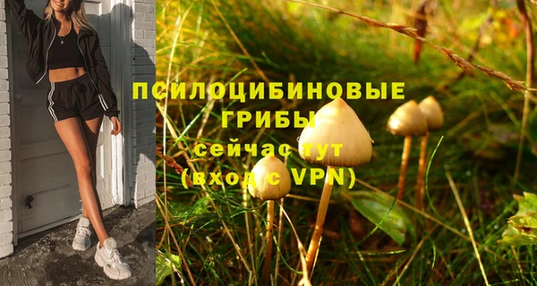 мяу мяу мука Богородицк