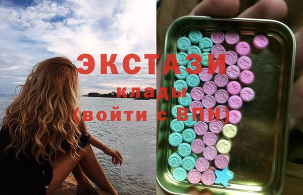 дмт Богданович