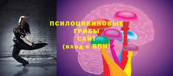 гидропоника Белокуриха