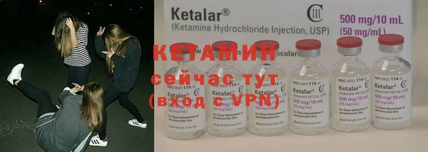 дмт Богданович