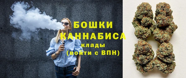 дмт Богданович