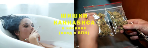 дмт Богданович