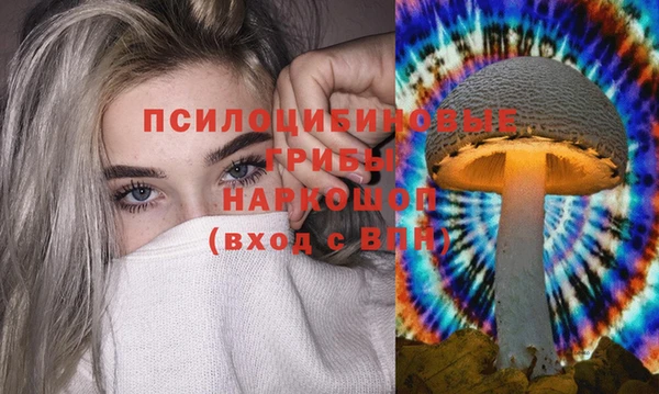 гидропоника Белокуриха