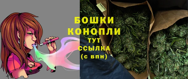дмт Богданович