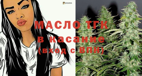 дмт Богданович