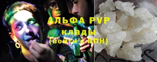 дмт Богданович